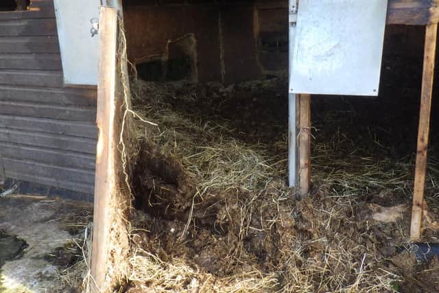 Inspectors said the horses were kept in horrendous conditions