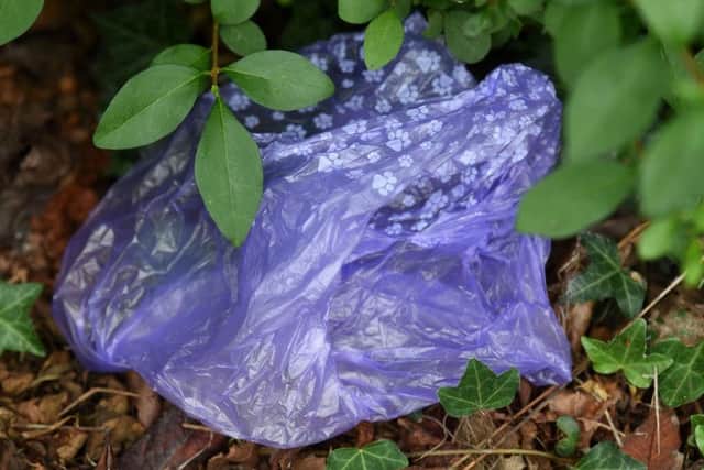 A bag of dog muck thrown under a bush in Stanley Park last week
