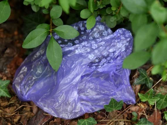 A bag of dog muck thrown under a bush in Stanley Park last week