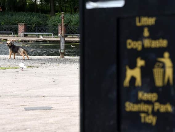 A dog enjoys being walked in Blackpools Stanley Park