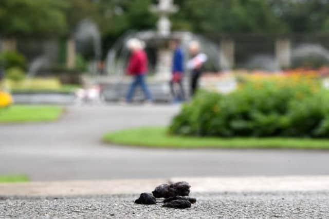 Blackpools Stanley Park - muck left by one irresponsible owner