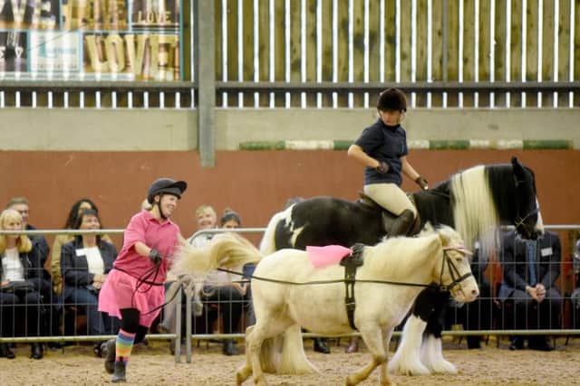 Ponies Frodo and Lucy perform a routine for the Princess