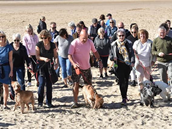 Spaniel owners and their dogs enjoy the stroll from Starr Gate to St Annes Pier