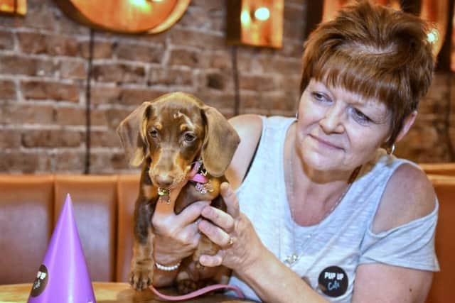 Picture by Julian Brown 21/09/19

Josie Hipkriss and Tilly

Dachshund Cafe at Revolution Blackpool