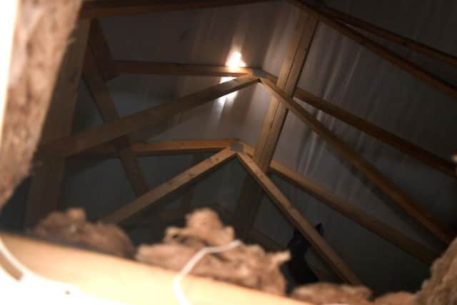 Daylight showing through Andy and Kelseys roof