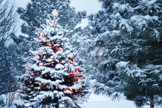 Ever since Dickens penned his famous tales, we've all been dreaming of a white Christmas. Picture: Shutterstock