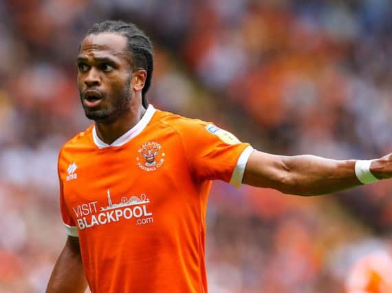 Nathan Delfouneso is hoping Blackpool can produce a repeat of last season's FA Cup run