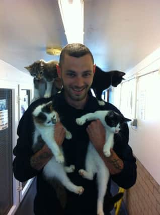 Rob Watson with some of the cats taken in at the RSPCA centre in Division Road, Blackpool.