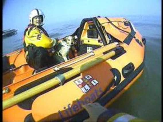 Blackpool RNLI were called out to a dog rescue off the coast of Blackpool in July
