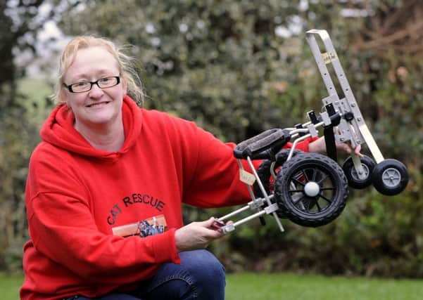 Christine Meakin, volunteer assistant manager at Cat Rescue, with the wheelchair they want to give to abandoned dog Bobi (below)