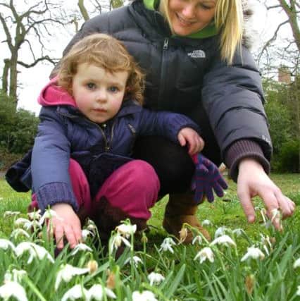 Sarah Cutts and her daughter Poppy, three, among the snowdrops at Lytham Hall where the public can enjoy stunning displays on Sundays.