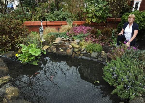 Mr and Mrs Toomer, of York Road in St Annes, were dismayed to find that thieves had stolen both goldfish and an expensive pump and filter from the pond in their garden.
Sue Toomer next to the pond.  PIC BY ROB LOCK
7-4-2014