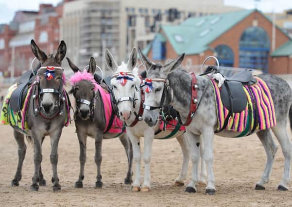 Blackpools famous donkeys may need scuba gear this weekend...