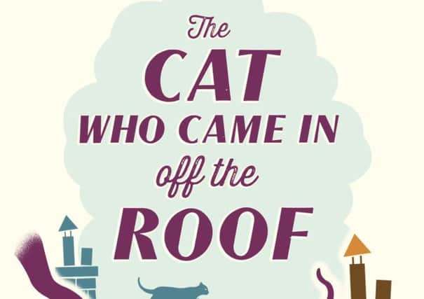 Curious cats, dark magic and fur-raising fantasy