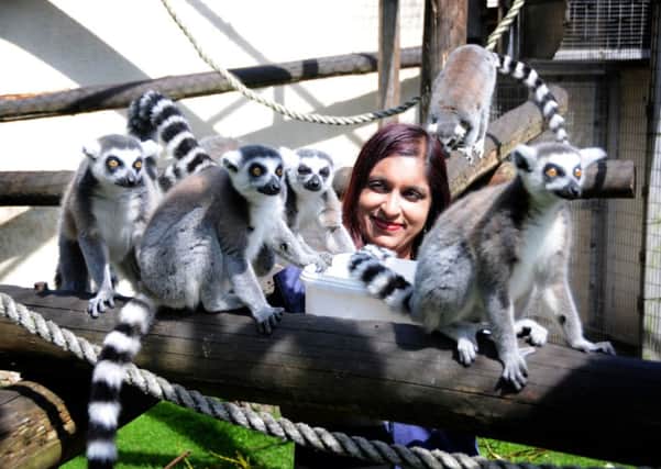 Reporter Aasma Day is zoo keeper for the day at Blackpool Zoo