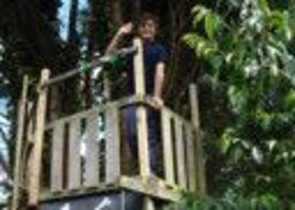 Linus Coppersthwaite in the tree house which needs to be lowered or removed according to planning regulations.