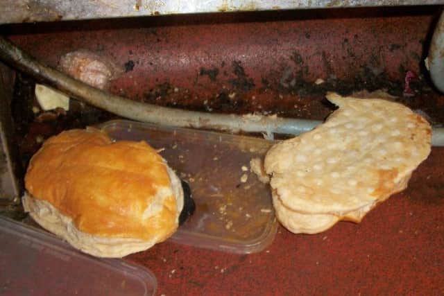 Filthy food discovered by heath inspectors at Miller Arms, Singleton