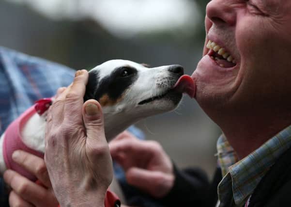 Misty the Jack Russell is fussed over by local resident (name not given) outside Manchester Dogs Home, Manchester, after a blaze killed more than 50 dogs.