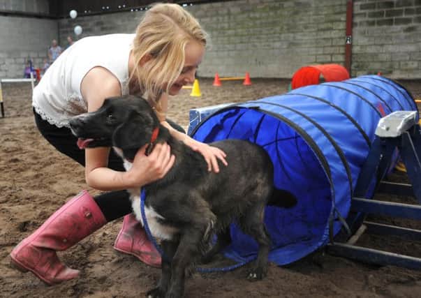 A Dog Picnic took place at the Courtyard Stables near Lytham, which offered home-made treats for the dogs as well as agility courses. 11 year-old Millie Probert congratulates George for negotiating the agility course tunnel.