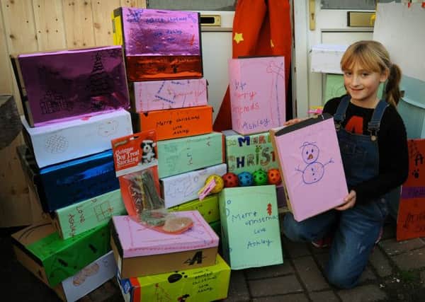 Festive collection: Ashley  Austin with some of the shoeboxes she has collected to help give dogs a Christmas Day to remember
