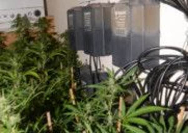 Drug discoveries: Cannabis found at a property in Poulton Street, Fleetwood