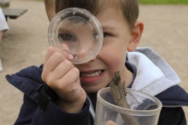 Bug Hunt in Hawthorne Park, Thornton.  Pictured is Mason Sumner, aged 4.