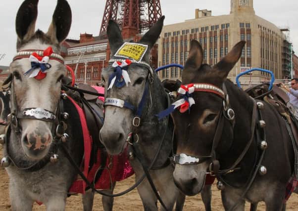 Eileen Nicholls and David Simmons run Donkey Rides on the Sands at Blackpool Beach