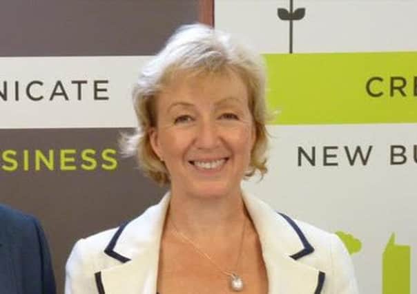 Minister Andrea Leadsom