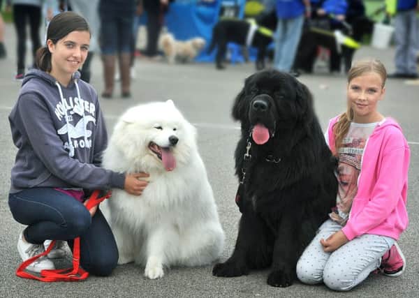 Lacey (left) and Tegan Rolfe with Harley and Luca
