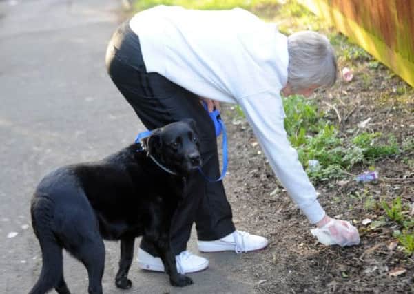 Fylde Council wants walkers to make sure they pick up dog dirt