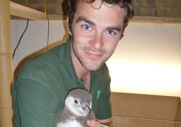 Johnpaul Houston at Blackpool Zoo holding a penguin chick he successfully hand-reared