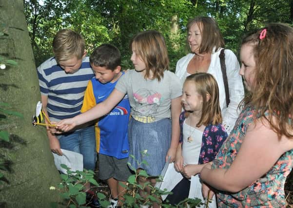 The Rowlings family decode a clue in the bee treasure hunt