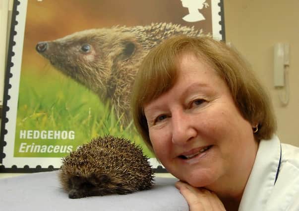 Janis Dean of the Lancashire Hedgehog Trust