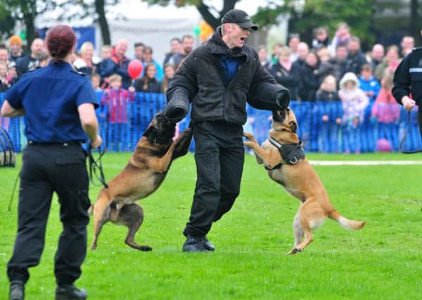 Police dogs display at the 2nd Lancashire Police HQ Open Week-End in Hutton.