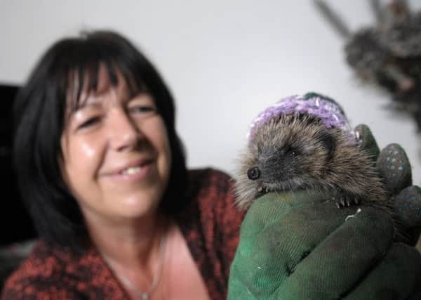 Angela Fenton with one of the hedgehogs she is caring for