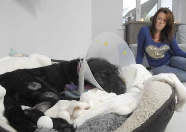 Michelle Norton with dog Bentley who was struck by a hit and run driver in Wrea Green