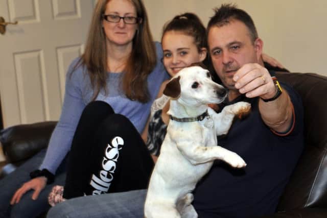 Snoop the Jack Russell at his new home in Thornton-Cleveleys with the Bradley family