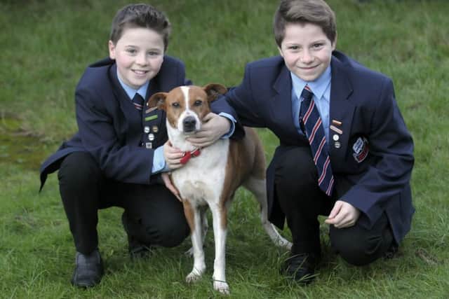 Brothers McKenzie and Charlie King with their new dog Lola