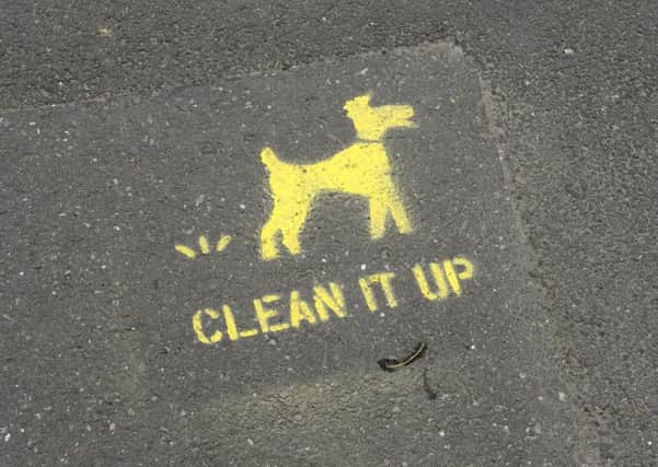 Clean It Up stencil painted on the streets of Morpeth
Picture by Jane Coltman