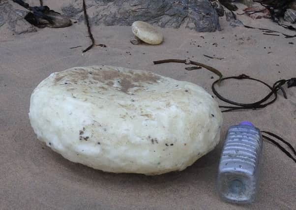 Rancid palm oil - which can be deadly if dogs eat it - has been found on Rossall beach in Cleveleys