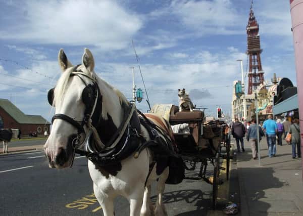A six-month investigation has led to a raft of new recommendations being made for landau use in Blackpool