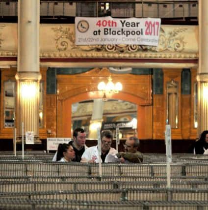 The 39th British Homing World Show of the Year, Blackpool Winter Gardens gets underway.