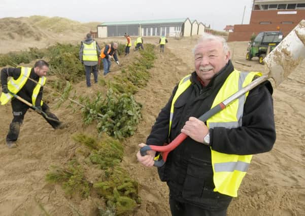 Coun Tony Ford joins council staff and volunteers to plant Christmas trees on St Annes beach