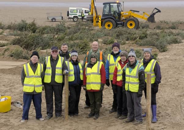 Fylde council staff and volunteers help plant Christmas trees on St Annes beach