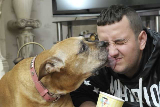 Molly the dog has been given one last tub of Notarianni's ice cream after being diagnosed with cancer.  She is pictured with Josh Smith.