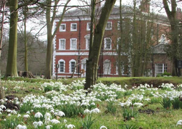 Snowdrops in the grounds of Lytham Hall