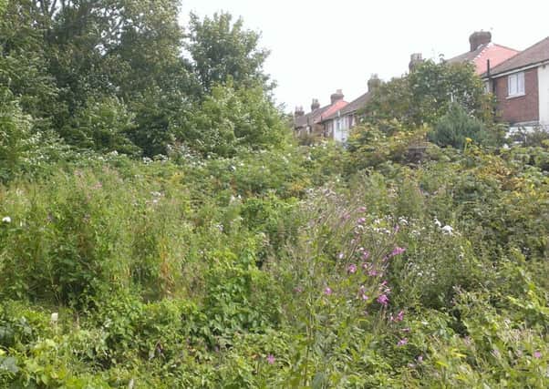 Land at the rear of Carson Road, Marton, which a house owner wants to build houses on.