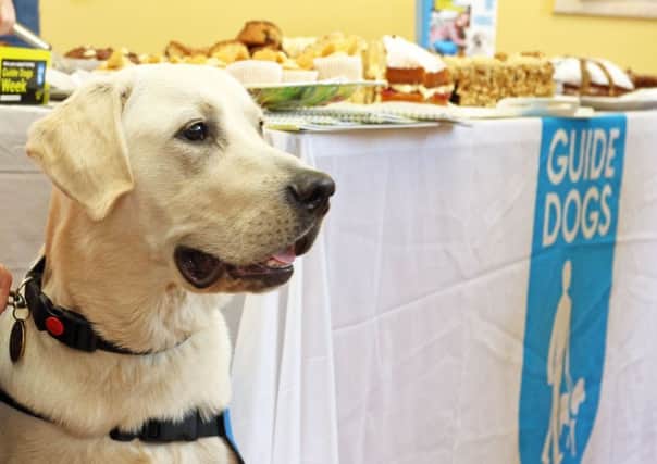 Guide dogs will be showcasing their skills in Blackpool on Sunday