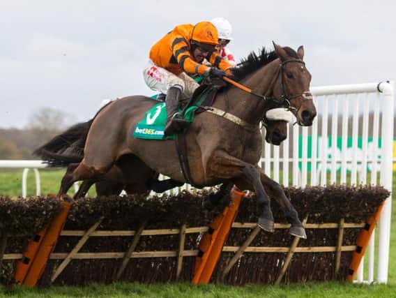 Worth a crack at the Gold Cup