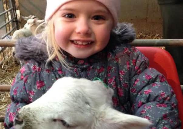 Lambing weekend is almost upon us